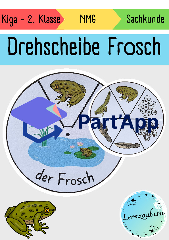Drehscheibe Frosch (Lebenszyklus)_2