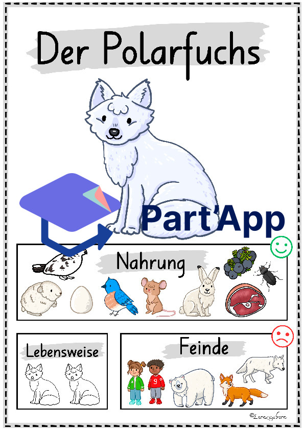 Plakate: Sachwissen Polartiere für den Kindergarten_45