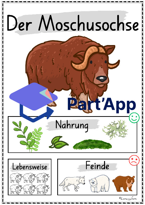 Plakate: Sachwissen Polartiere für den Kindergarten_48