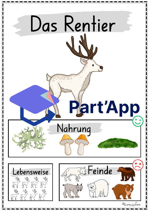 Plakate: Sachwissen Polartiere für den Kindergarten_50