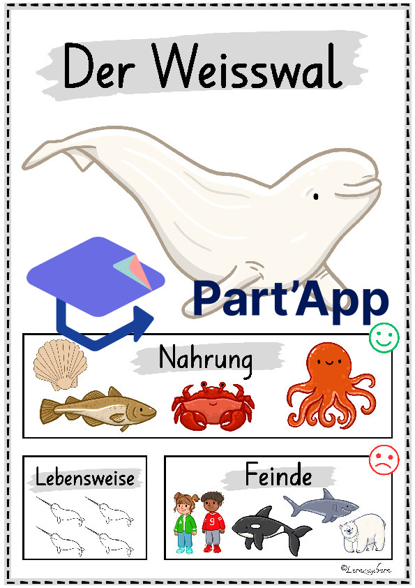 Plakate: Sachwissen Polartiere für den Kindergarten_51