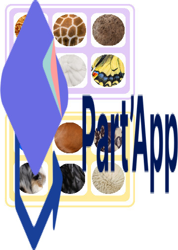 Loto des animaux_3