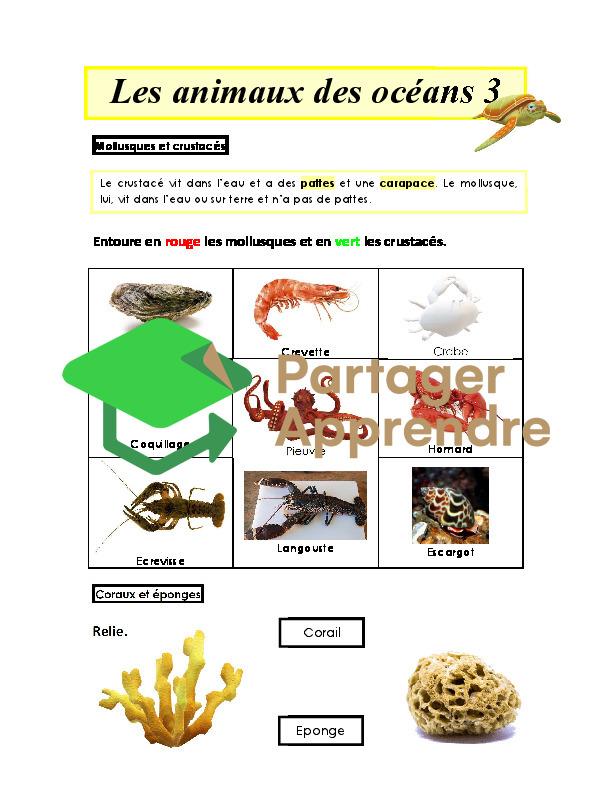 Océans_11