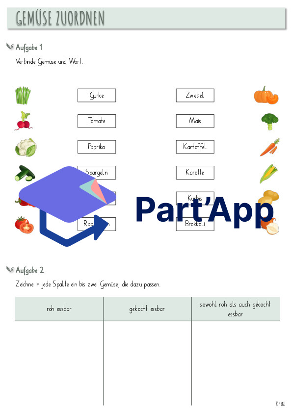 Gemüse-Garten_4