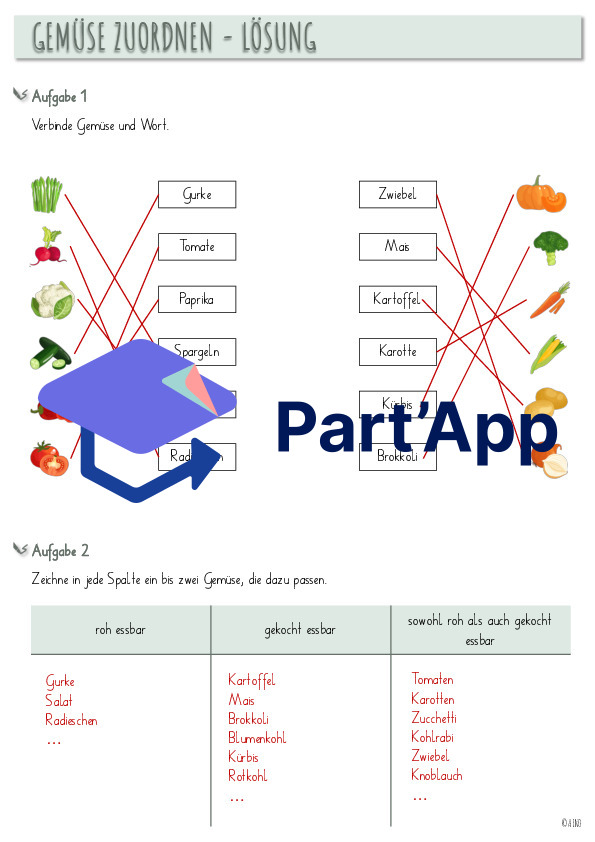 Gemüse-Garten_5