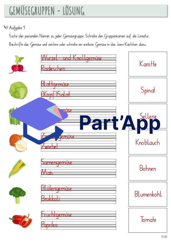 Gemüse-Garten_7