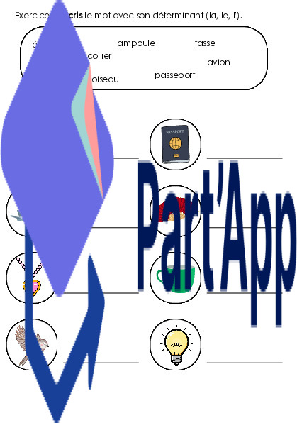 Dossier de révision 3P_9
