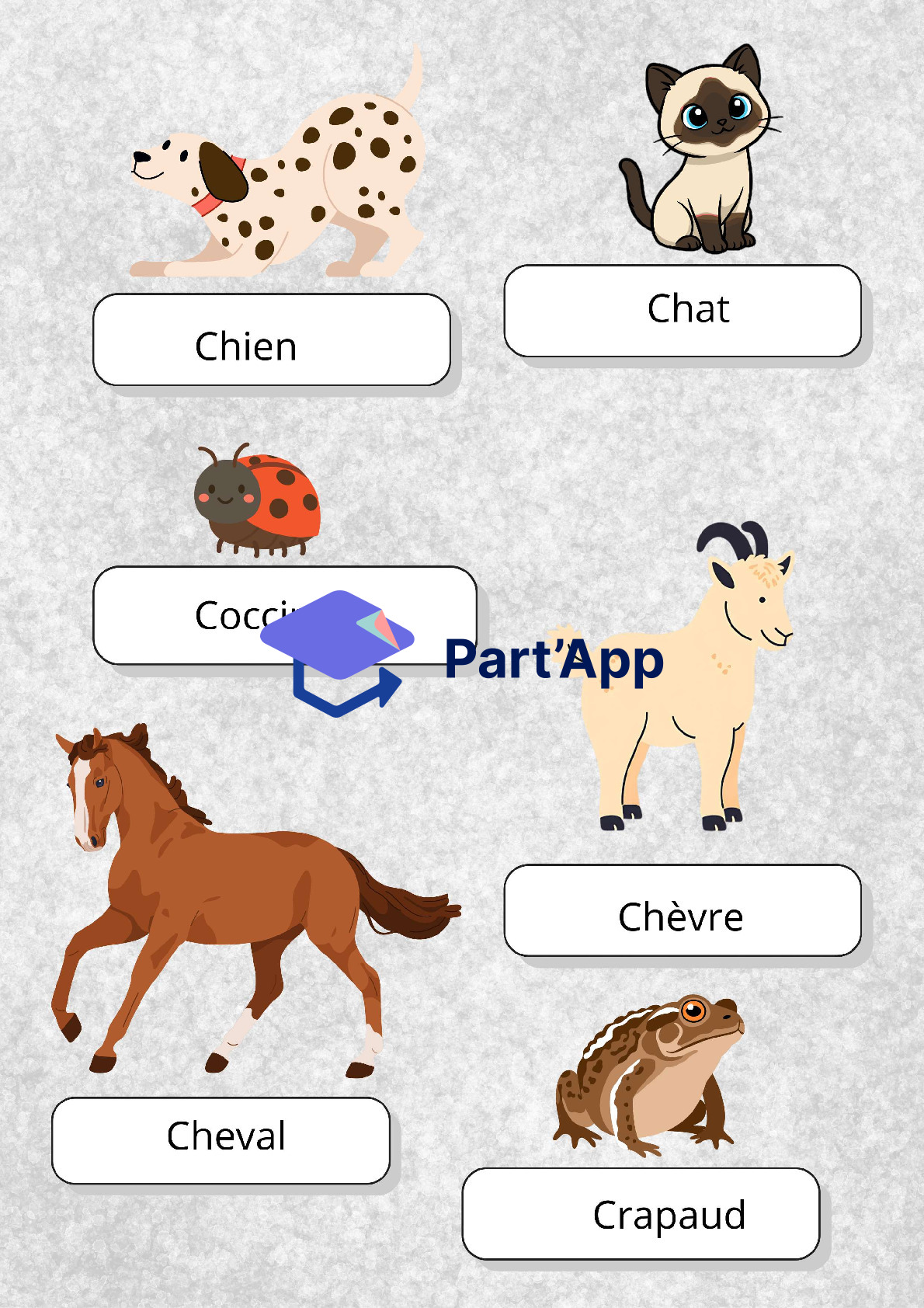 "C" comme..._3