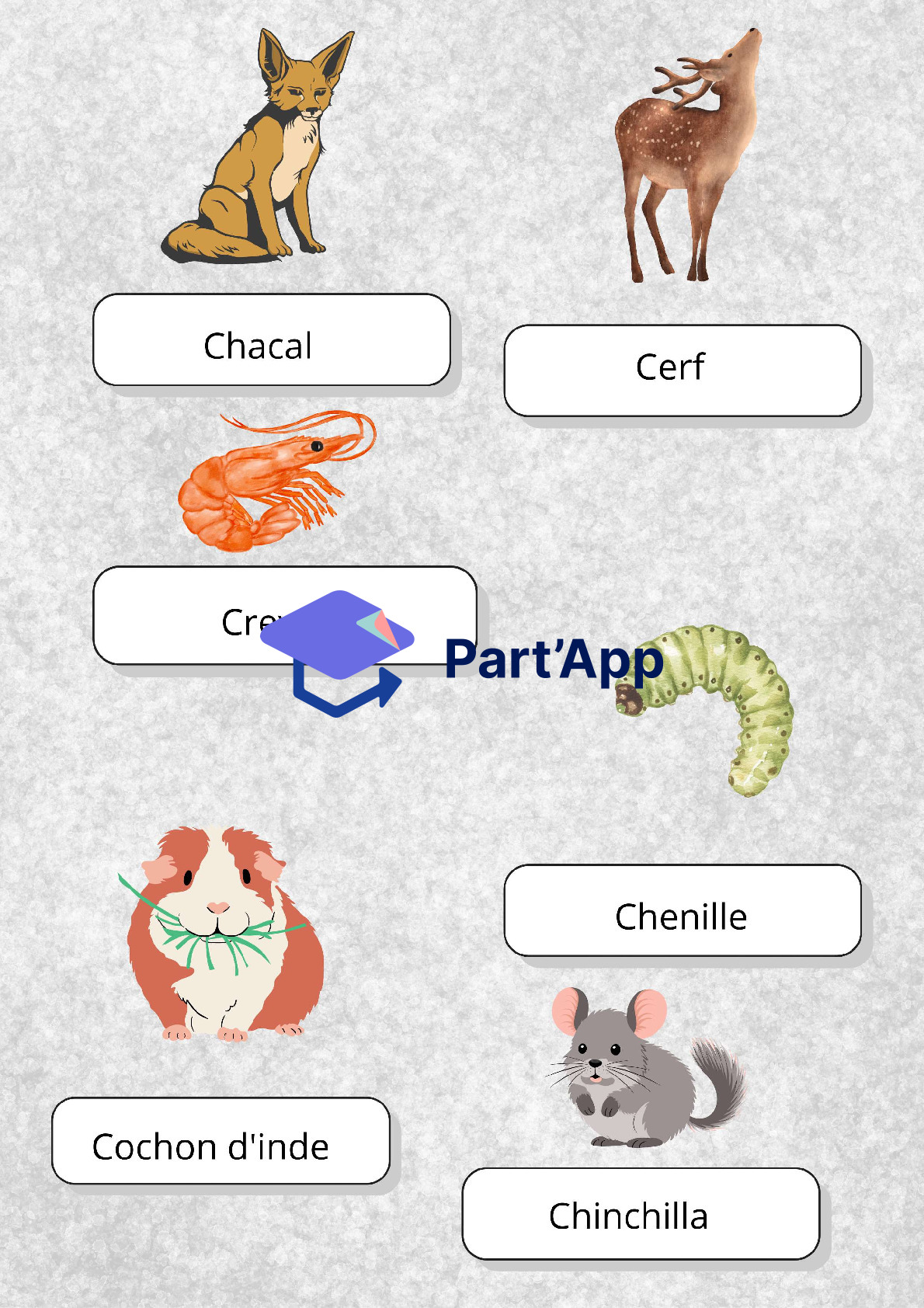 "C" comme..._5