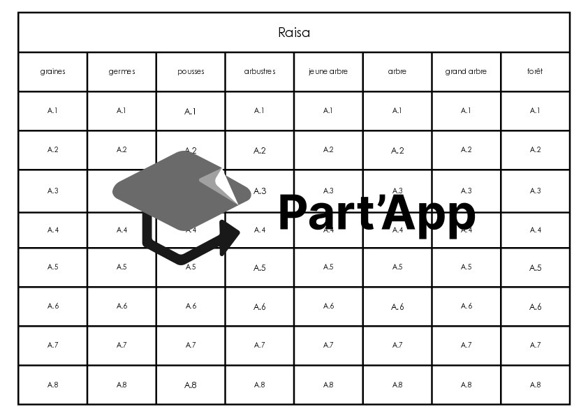 Ceintures de grammaire_6