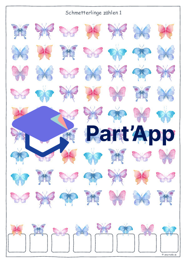 🦋 Papillon AB Compter Concentration ZR 5-13_2