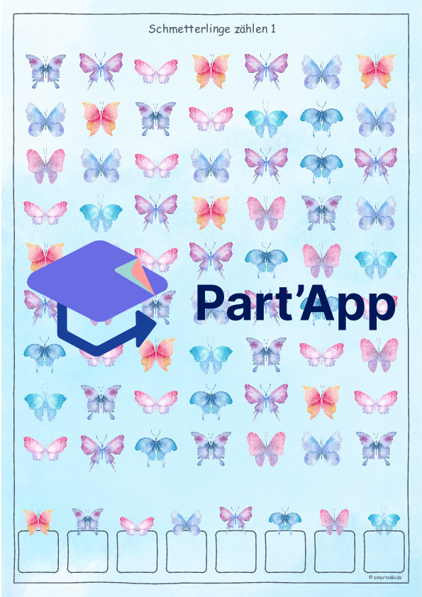 🦋 Papillon AB Compter Concentration ZR 5-13_3