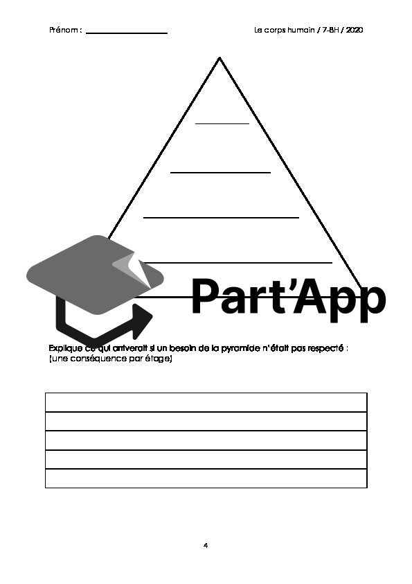 Sciences 7H-8H - Dossier sur le corps humain_6