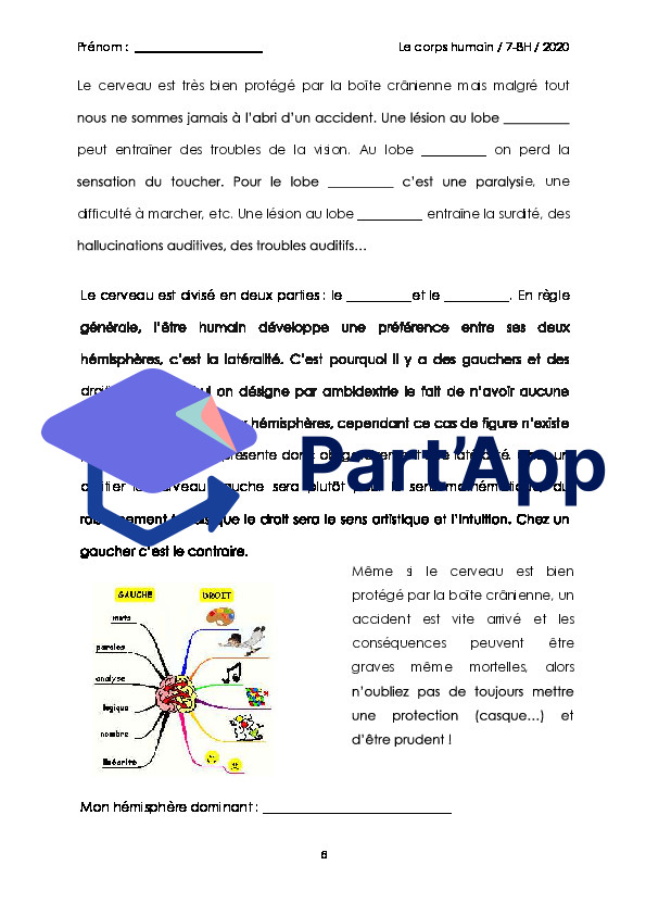 Sciences 7H-8H - Dossier sur le corps humain_8
