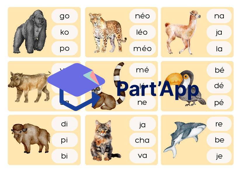 3H - Cartes à pinces : syllabe d'attaque_2