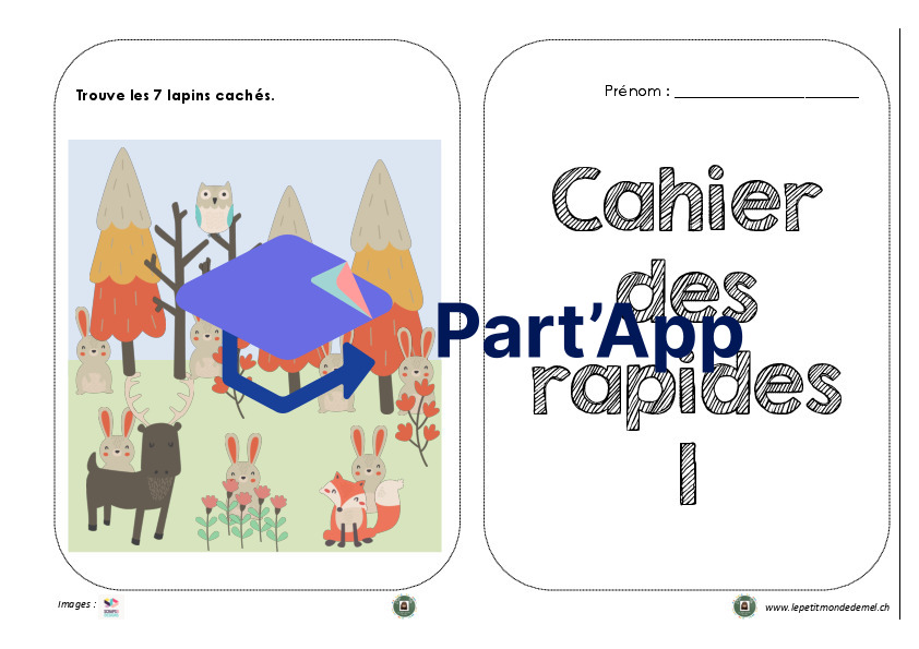 cahier des rapides_2