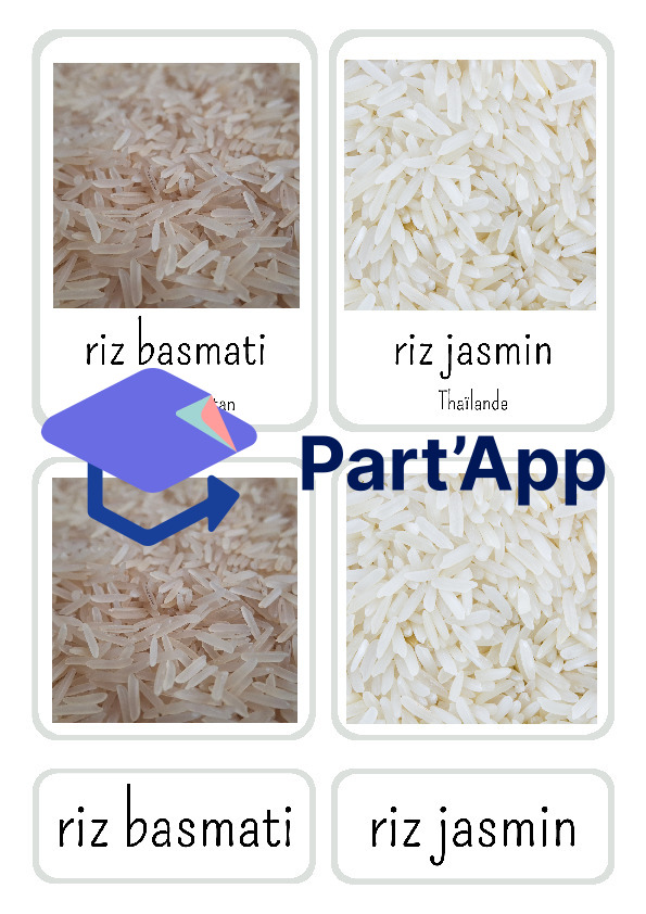 Référentiel des différentes sortes de riz_2
