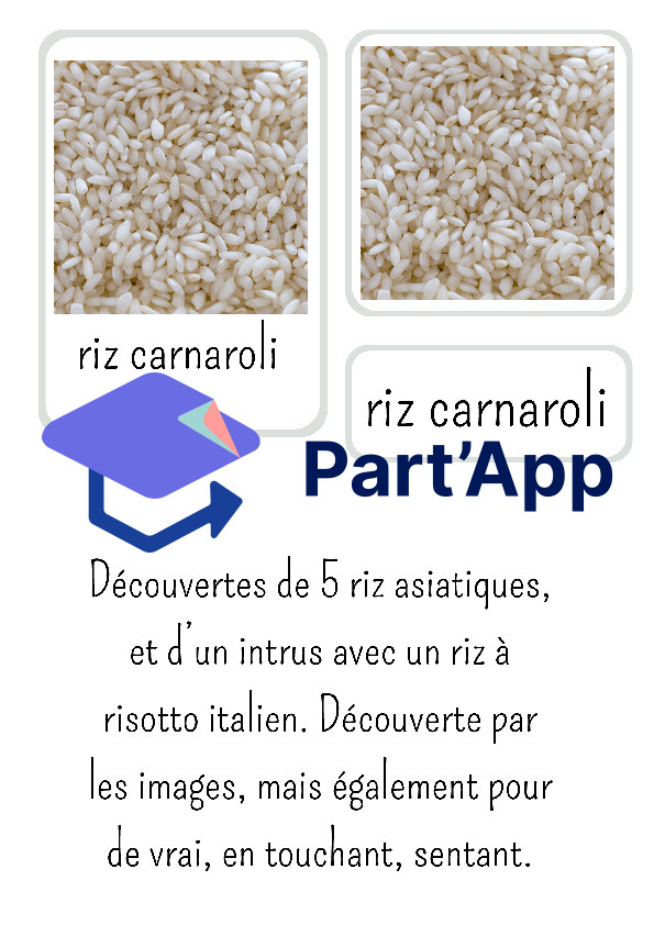 Référentiel des différentes sortes de riz_4