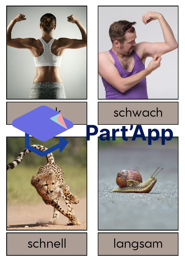 Adjektive und ihre Gegenteile_6