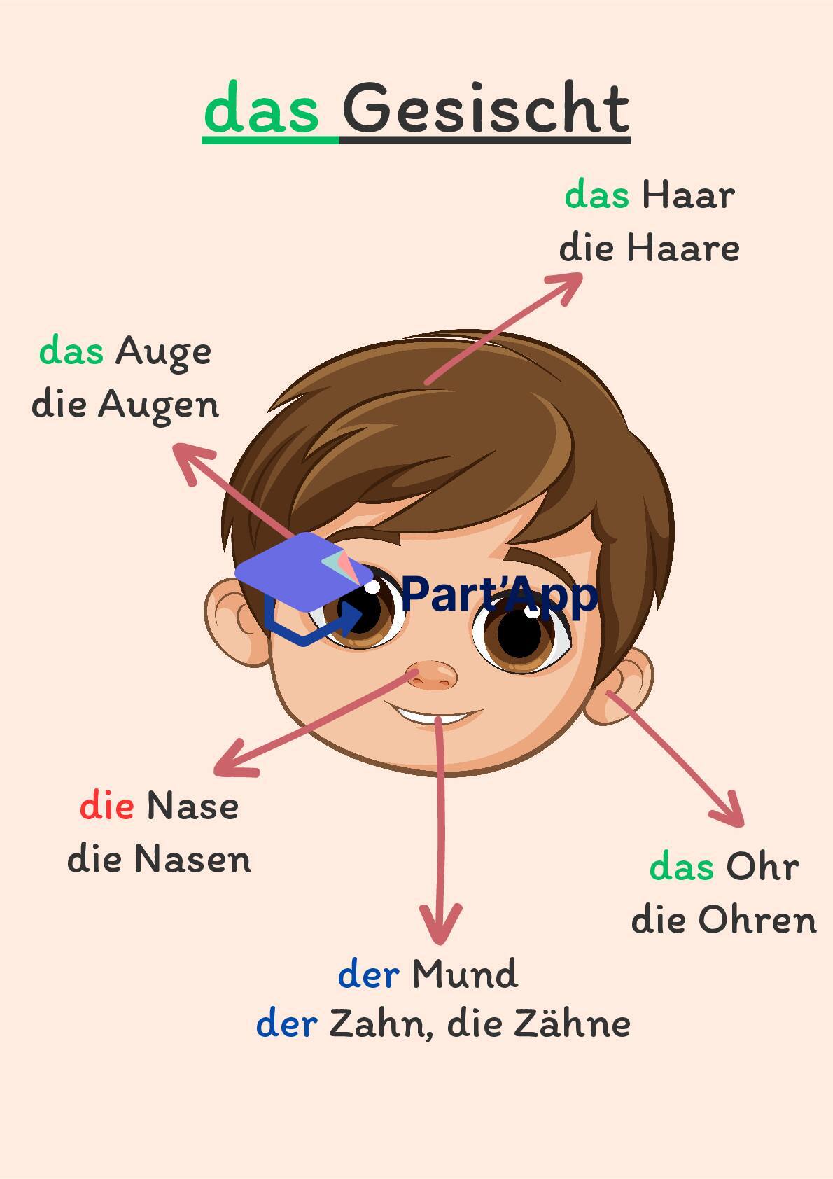 Einheit 6 : 6H: Panneau parties du visage_2