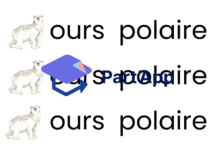 Mots à écrire - Antarctique_2