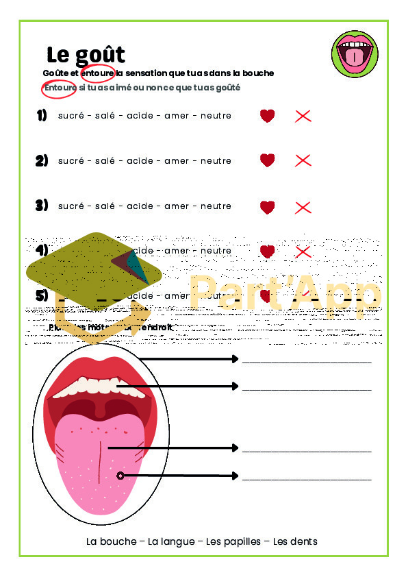 Dossier CE - les 5 sens (3-4P)_6
