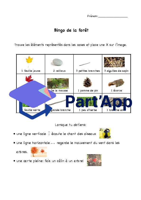 Bingo forêt (sortie)_2