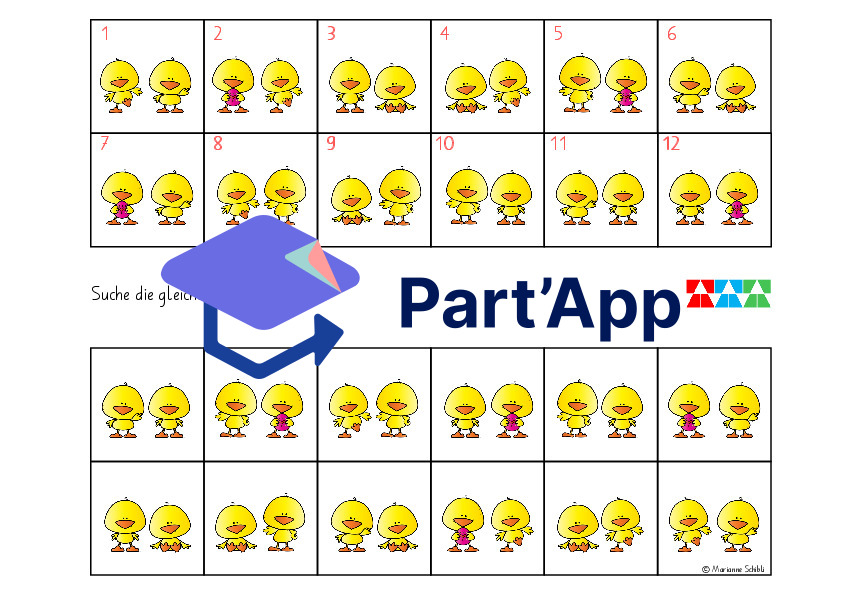 🐥Poussin Minilük Regarde bien_23