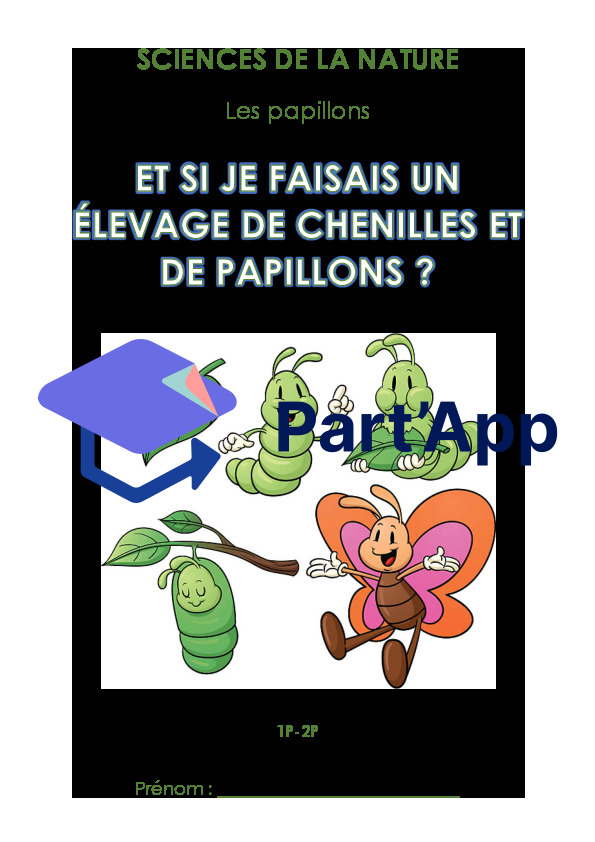 Dossier - Les papillons_2