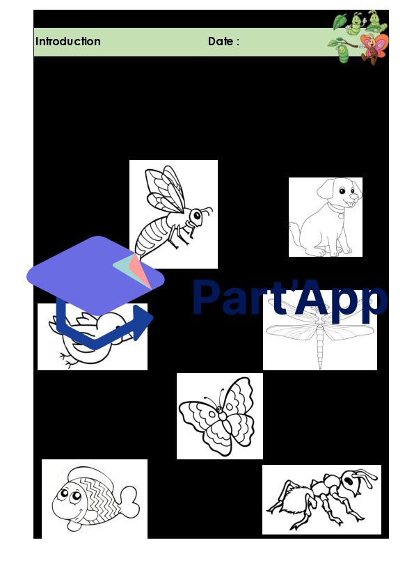 Dossier - Les papillons_6