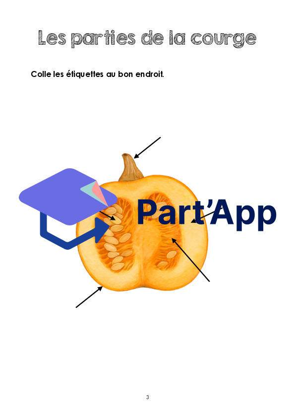 Dossier la courge 3P_5