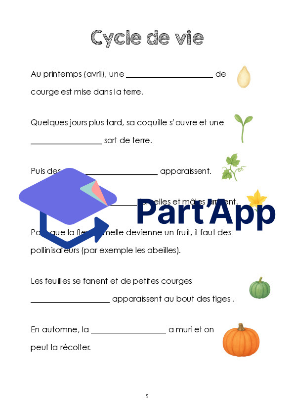 Dossier la courge 3P_7