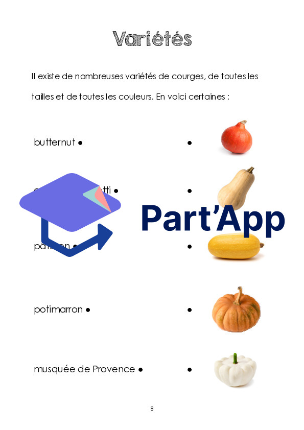 Dossier la courge 3P_10