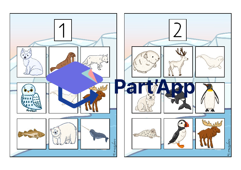 Bilderbingo: Polartiere_12