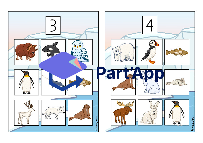Bilderbingo: Polartiere_13