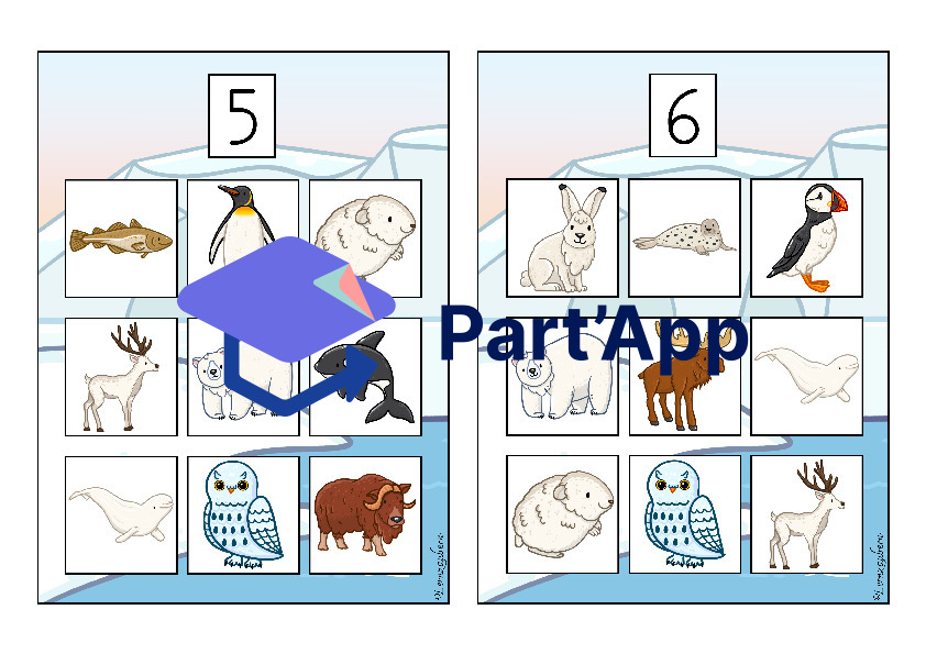 Bilderbingo: Polartiere_14