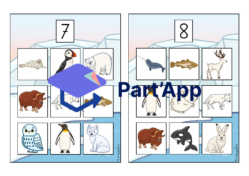 Bilderbingo: Polartiere_15