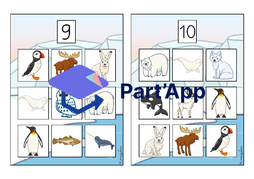 Bilderbingo: Polartiere_16
