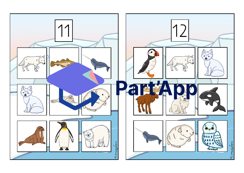 Bilderbingo: Polartiere_17