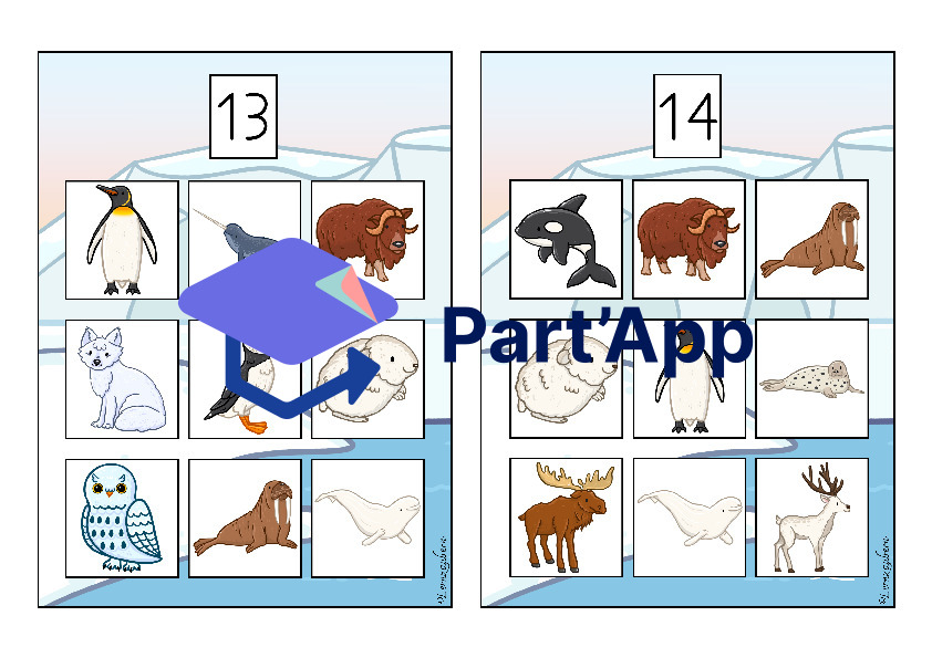 Bilderbingo: Polartiere_18