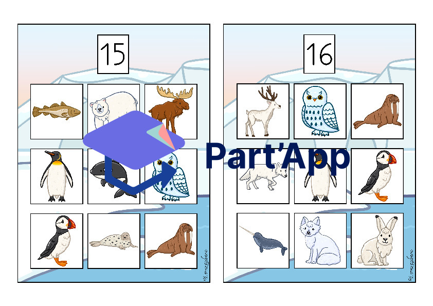 Bilderbingo: Polartiere_19