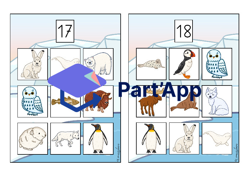 Bilderbingo: Polartiere_20