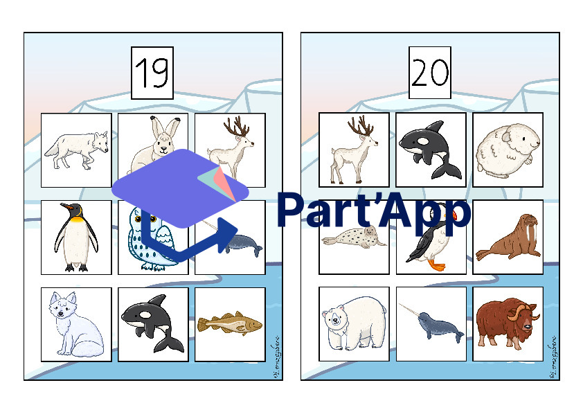 Bilderbingo: Polartiere_21