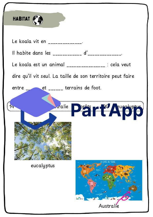 Dossier koala CE_7