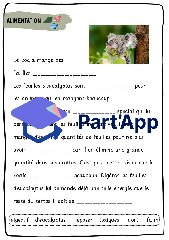 Dossier koala CE_8