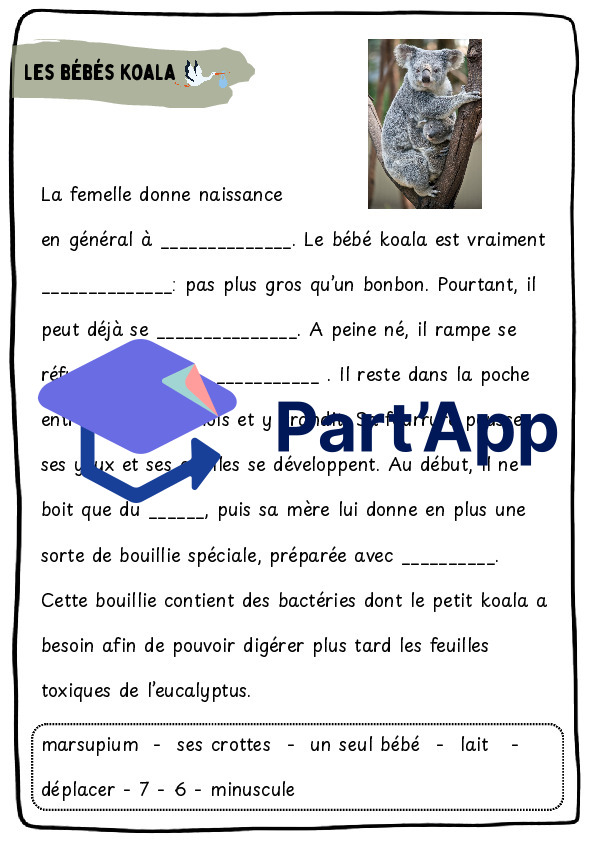 Dossier koala CE_9