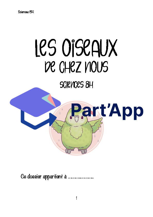 Les oiseaux_2