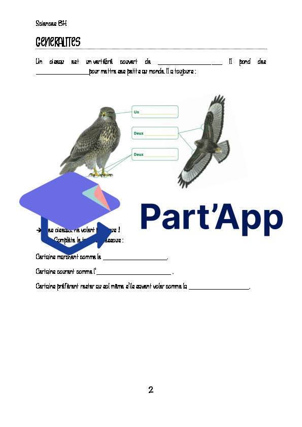 Les oiseaux_3