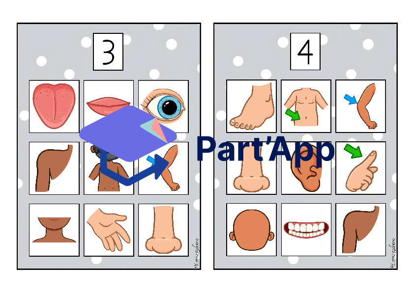 Bilderbingo: Körper / Körperteile_3