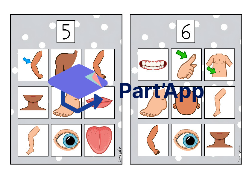 Bilderbingo: Körper / Körperteile_4